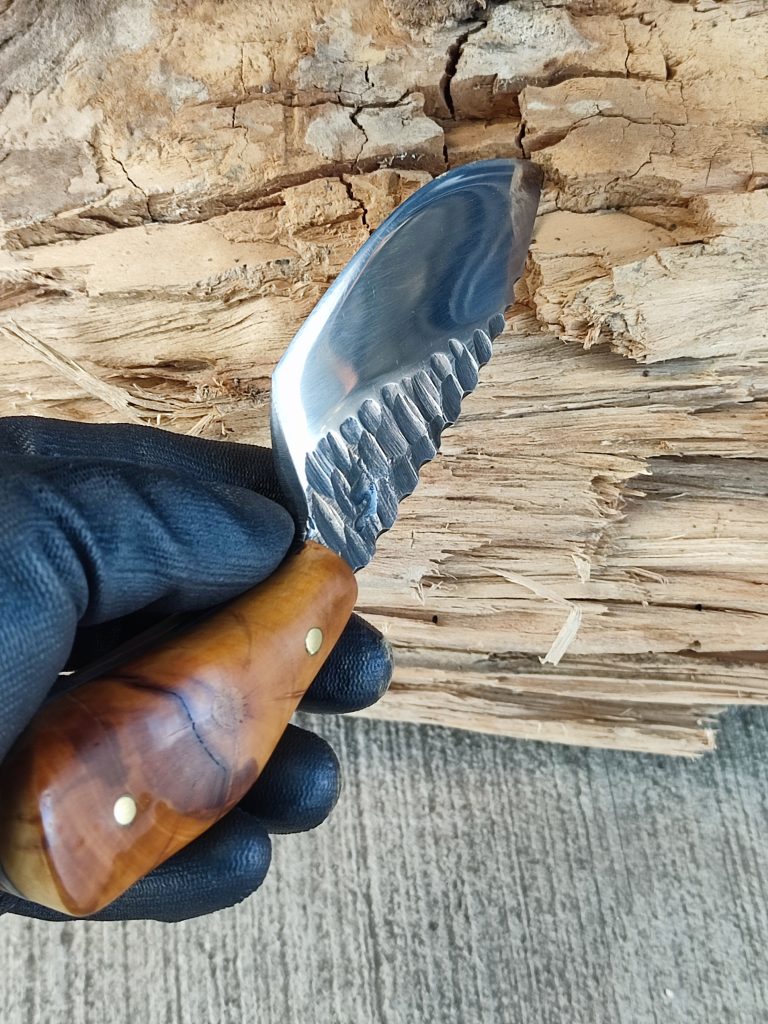 .trashed 1734660467 img 20241119 161933