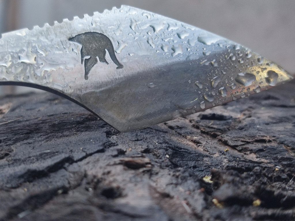 .trashed 1777674961 img 20260401 191948