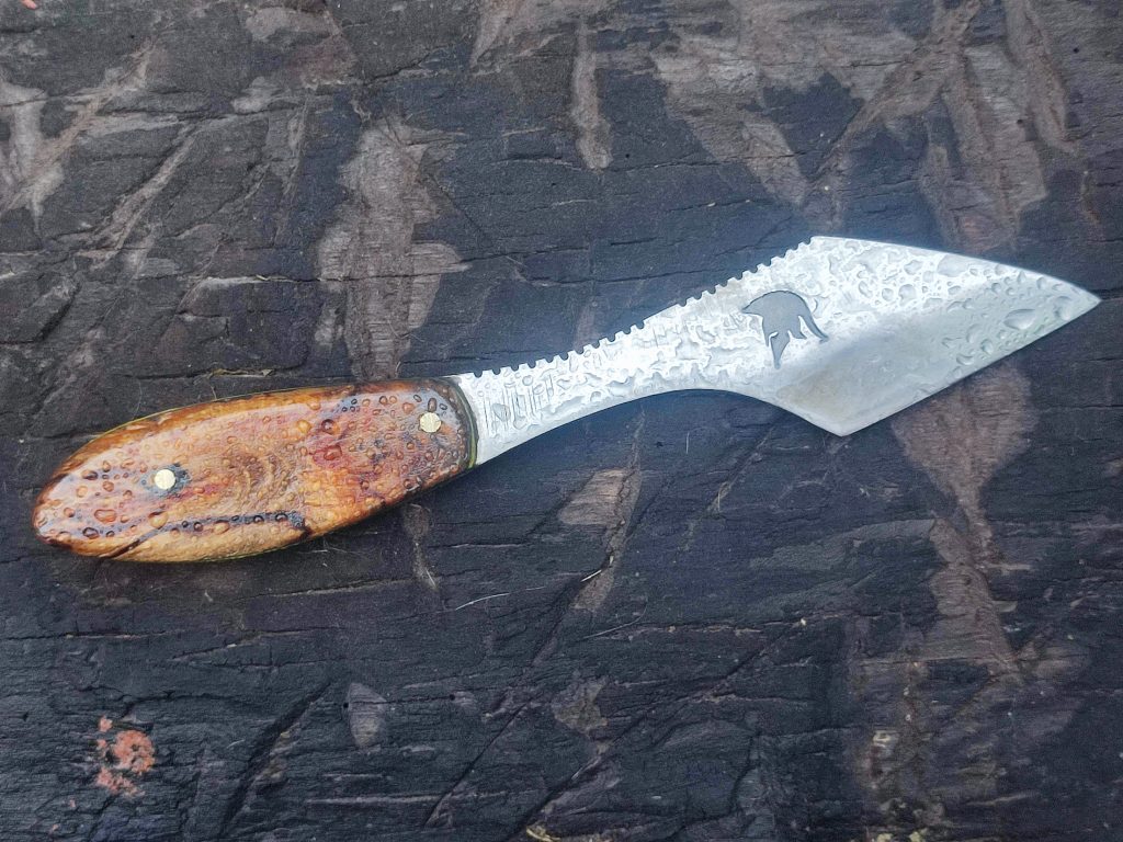 .trashed 1777674961 img 20260401 192016